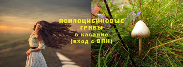 каннабис Баксан