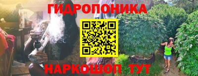 шишки Туймазы