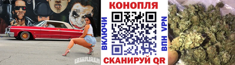 наркота  Ульяновск  Марихуана сатива 
